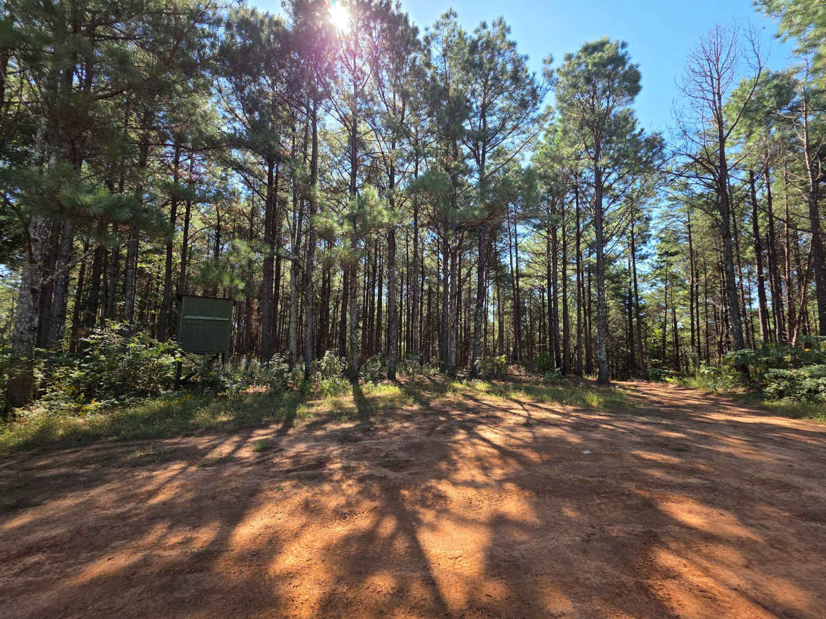 G Block trail photo