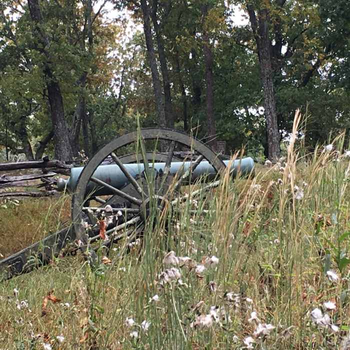 Cannon with wildflowers. Near Kennesaw Mountain Short Loop