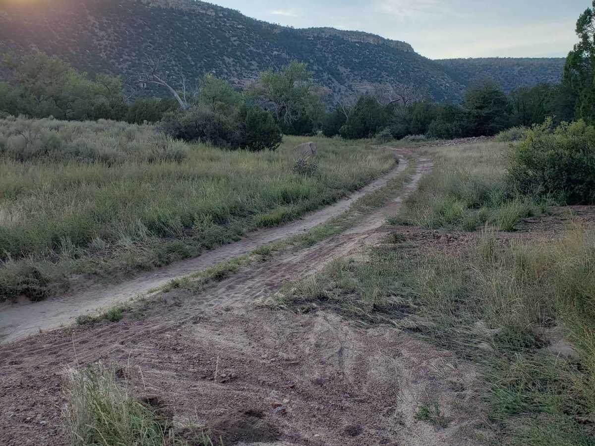 Mills Canyon Trail photo 5