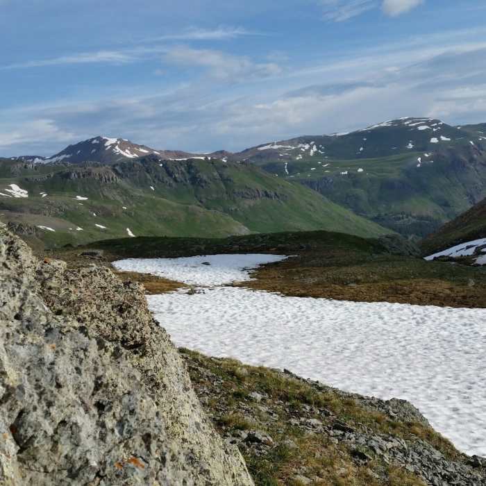 Near Grouse Gulch Trail