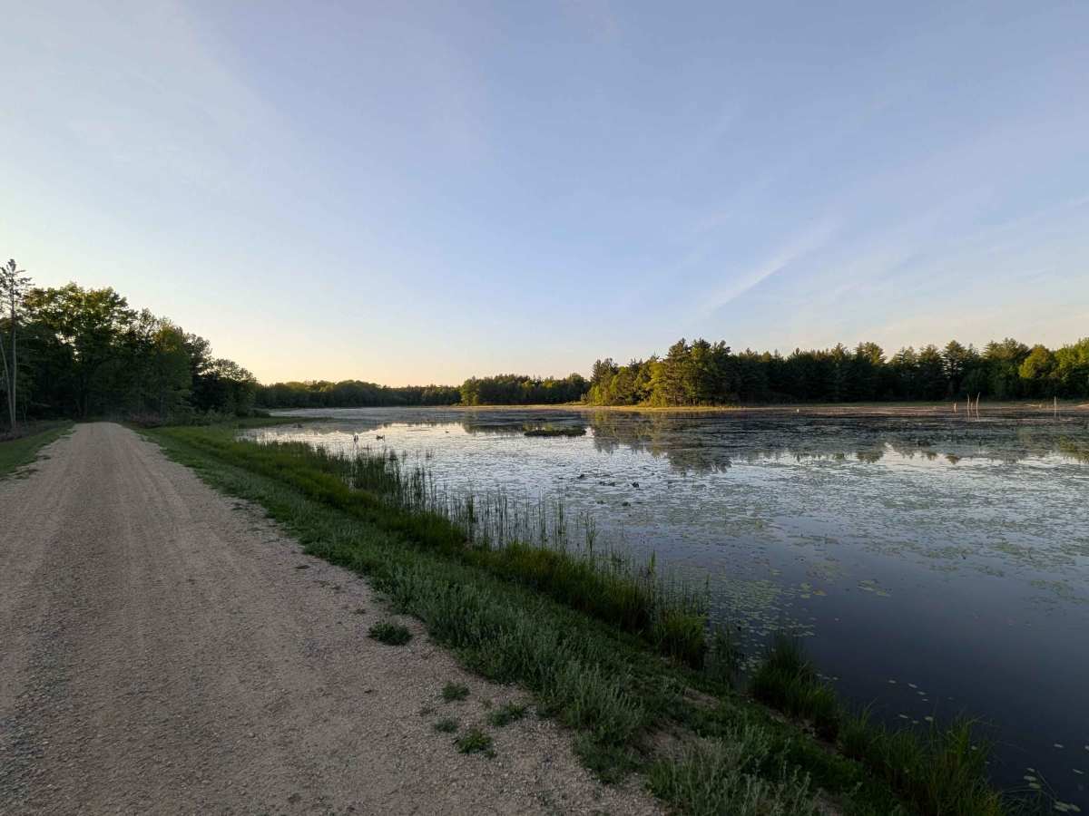 Nelson Road trail photo