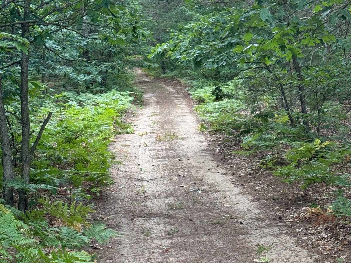 East Buchanan-Pierce Trail trail photo