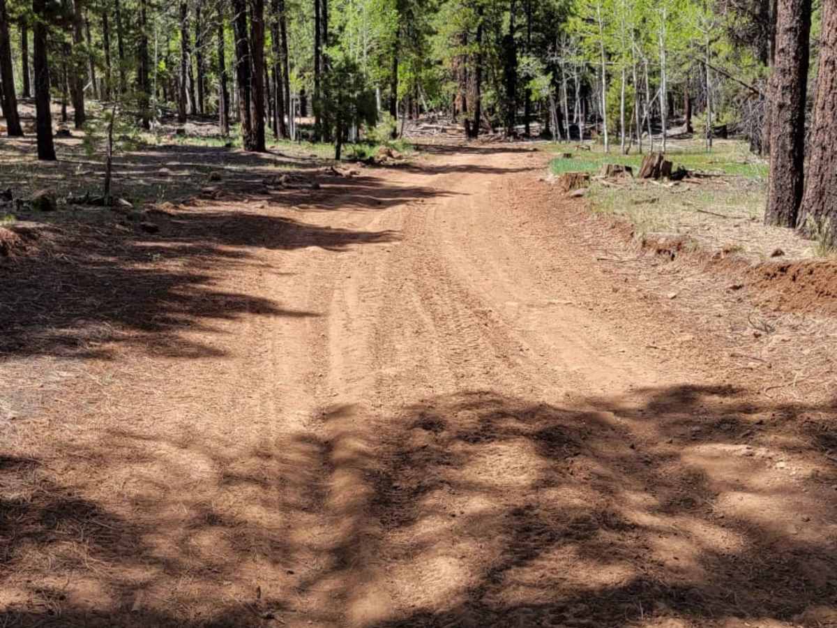 Ponderosa Loop photo 3