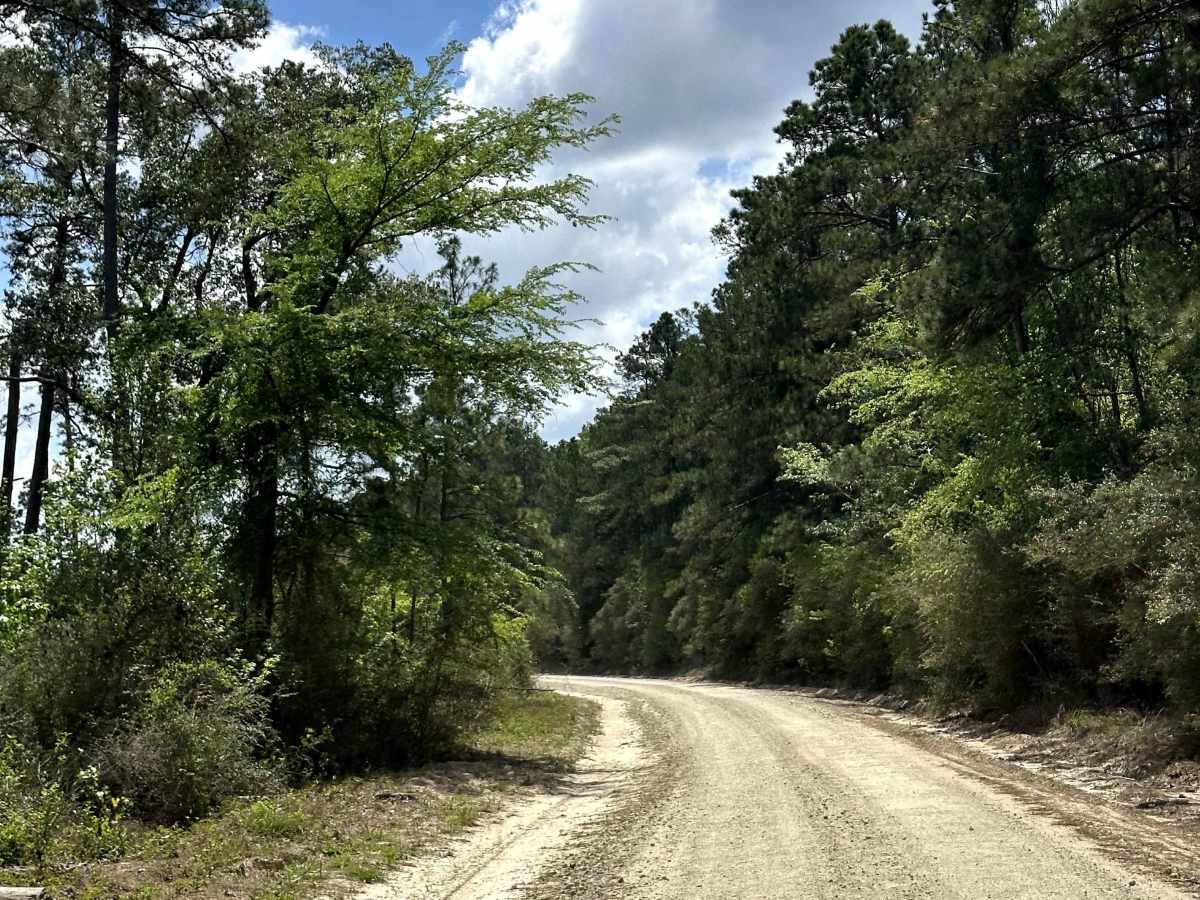 Old US Highway 287 photo 4