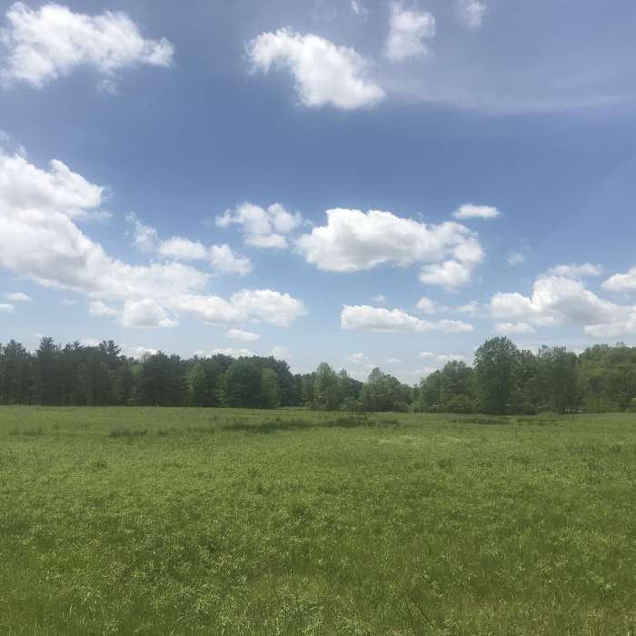 Near Blacklick Woods Metro Park