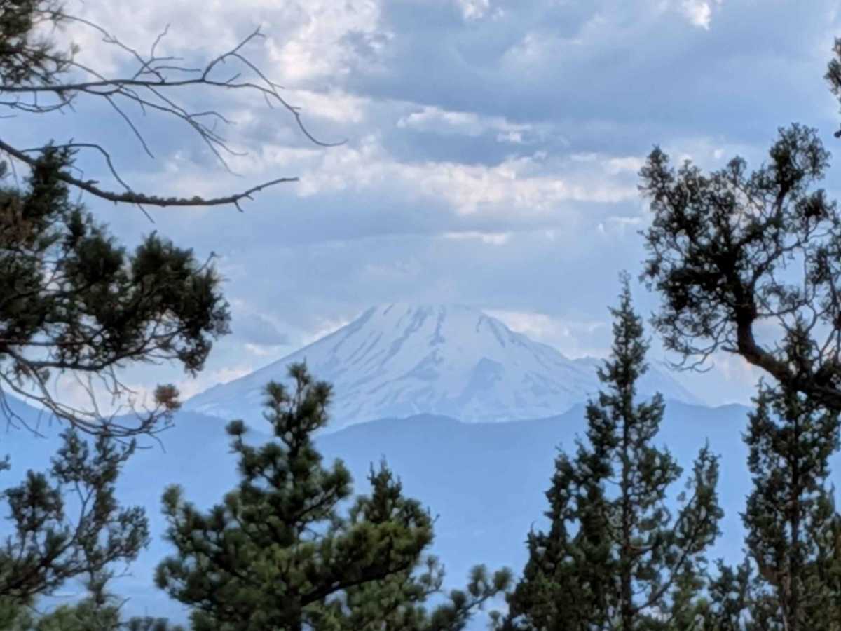 C33 Wild Horse Mountain - FS 44N11 photo 3