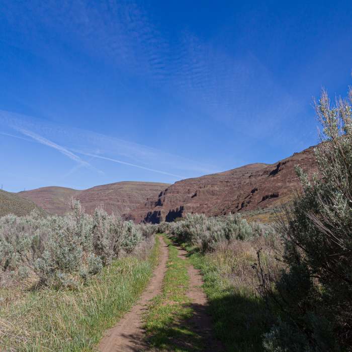Near Pinnacles Trail