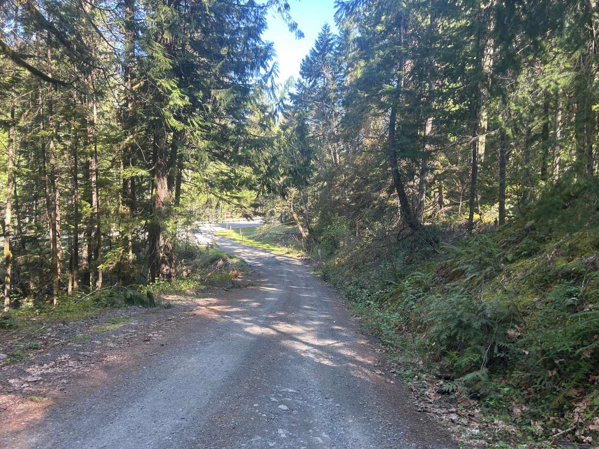 Lava Creek Road photo 2