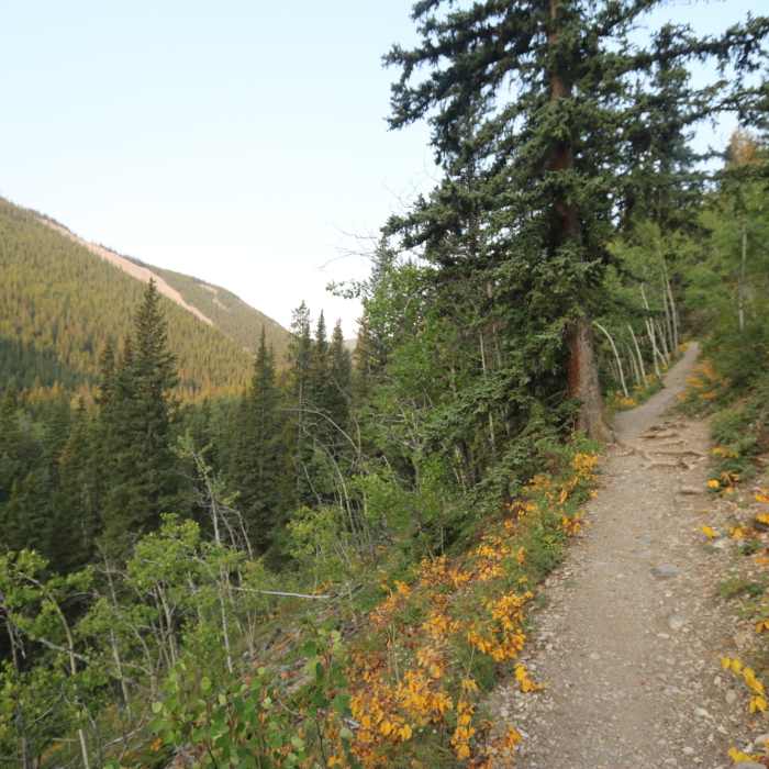 Near Prairie Creek Trail