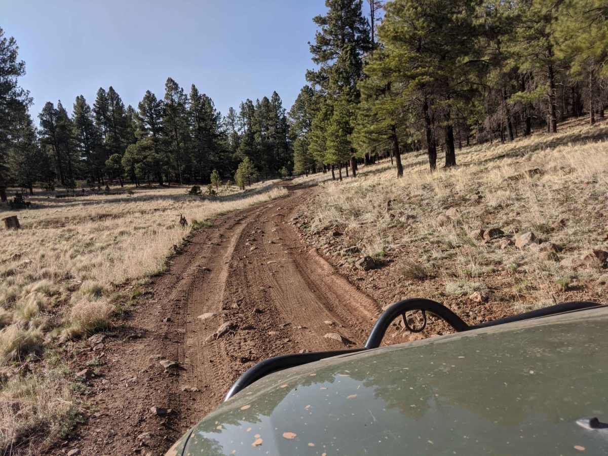 00296 Road trail photo
