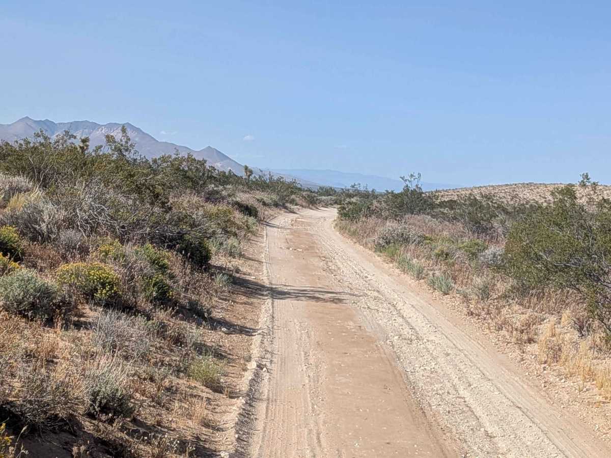Roaring Ridge Cut Off photo 6