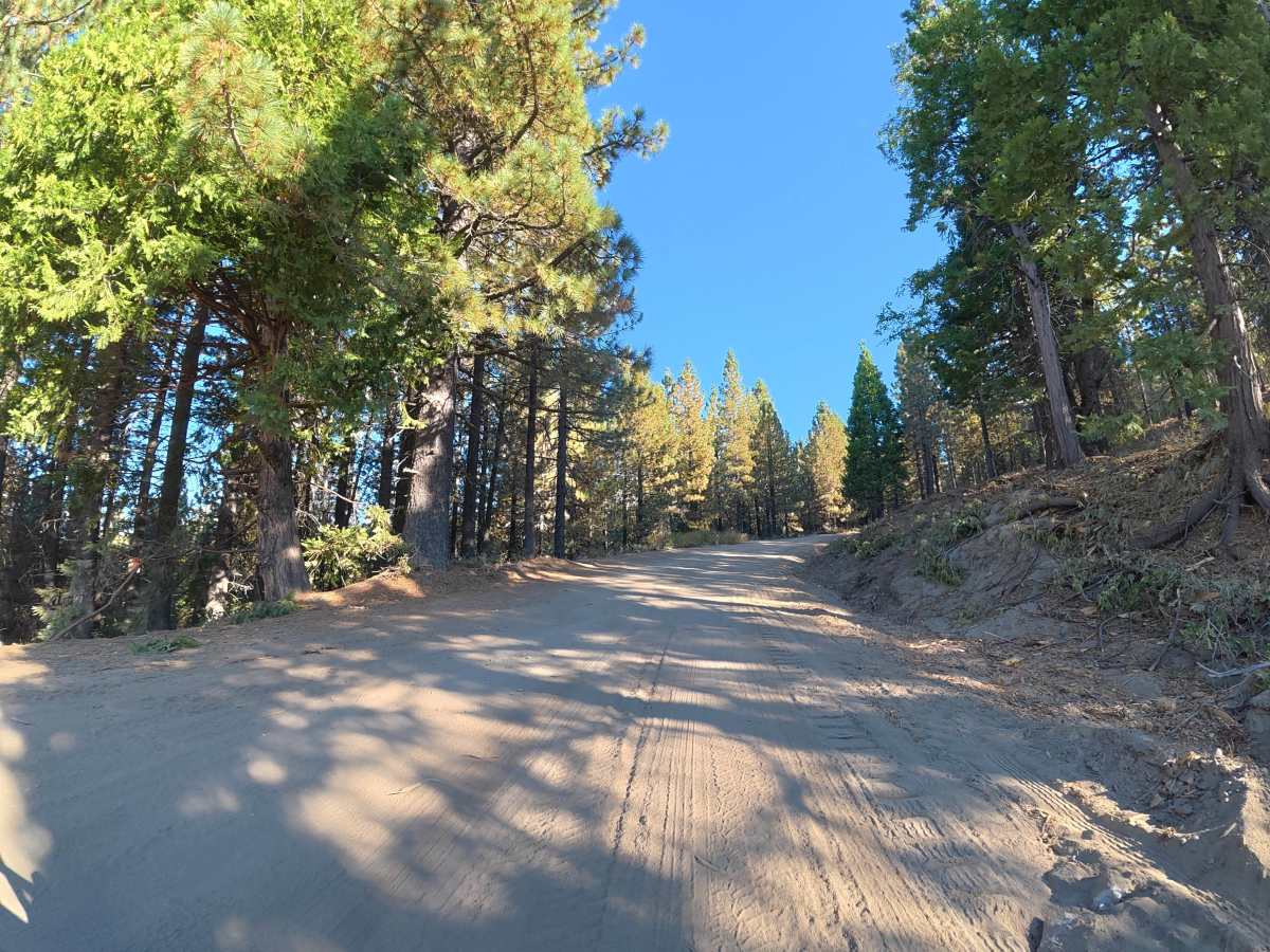 FS 6N17 trail photo