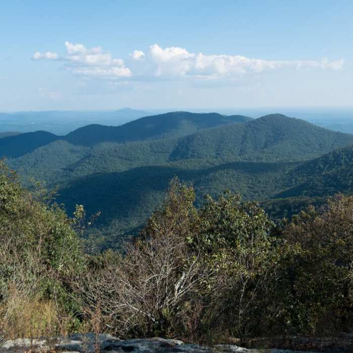 Near The Georgia Loop