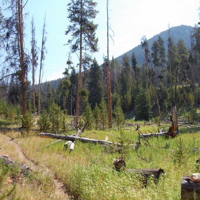 Near Big Horn Peak Near Big Horn Peak