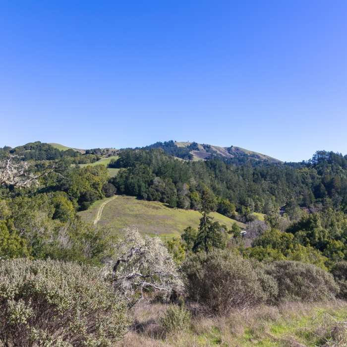 Near Cross Marin Trail