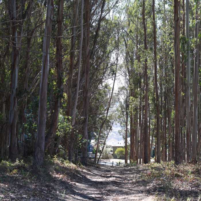 Near San Carlos Trail