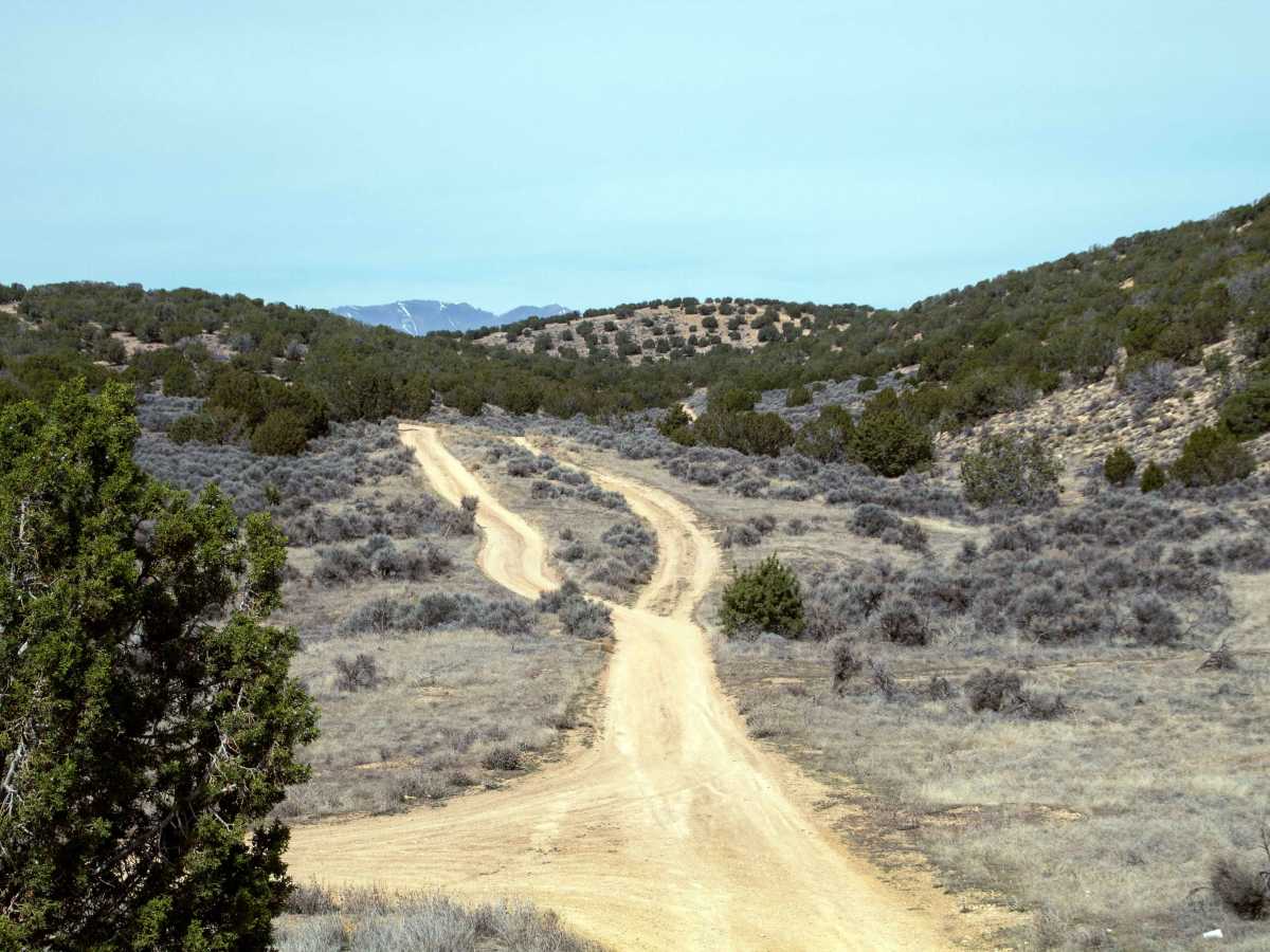Soldier Pass Spur Trail photo 4