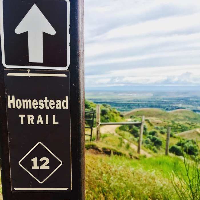 The view from the top of Homestead. Near Lucky Peak Trail #6