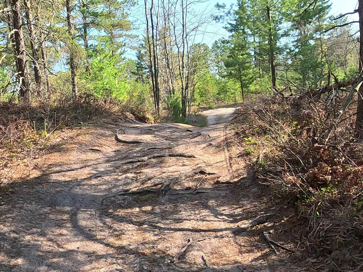 West Brenaman Road photo 5