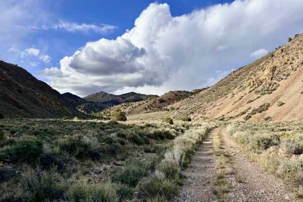  Horse Creek - FS 44166