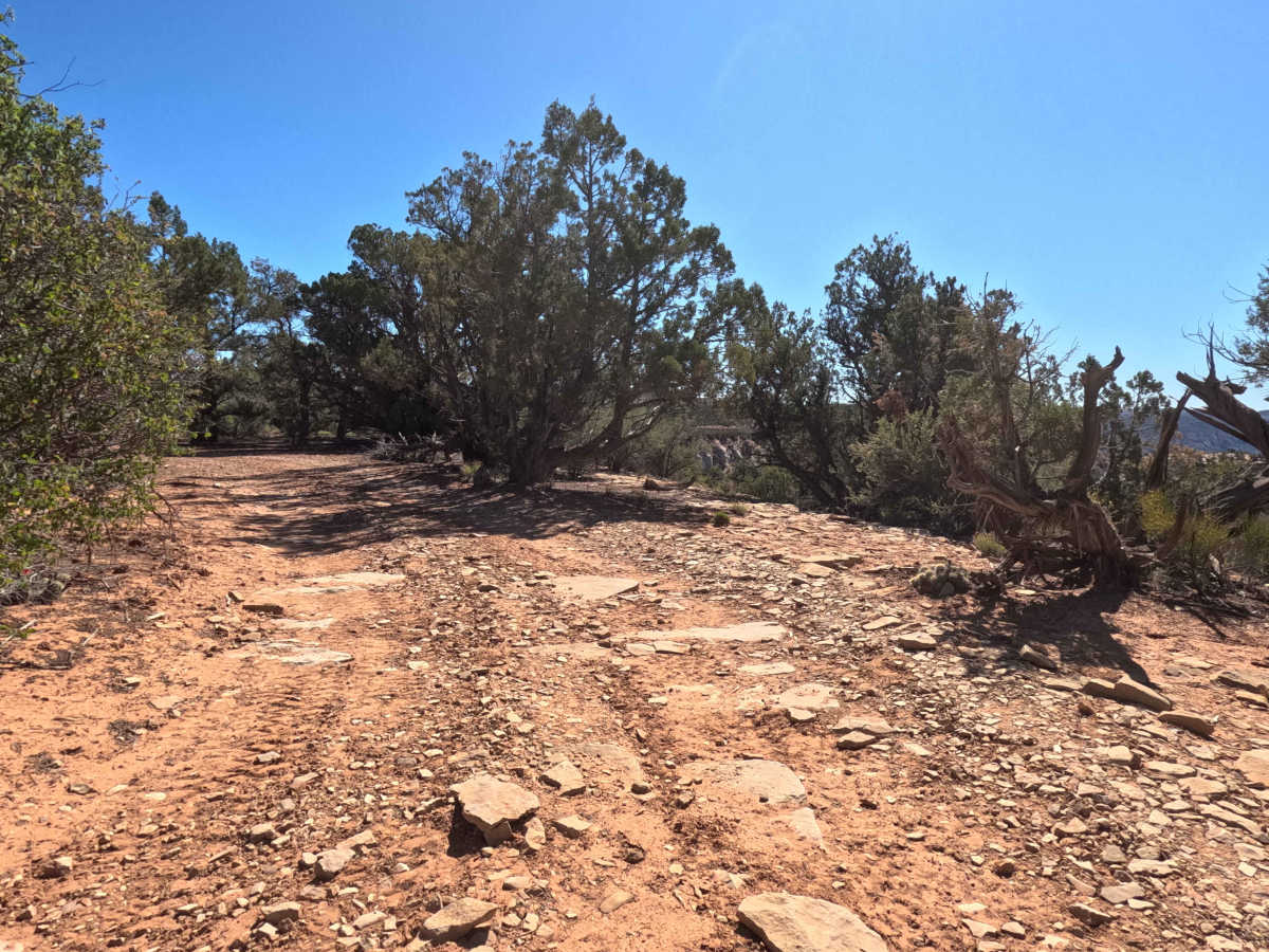 BLM 73  photo 3