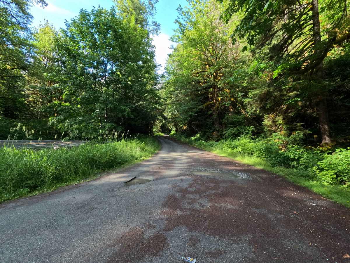 Lower Illabot Road - FS 16 trail photo