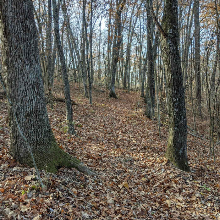 Near Kiln Trail