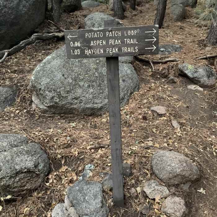 Near Route to Hualapai Peak
