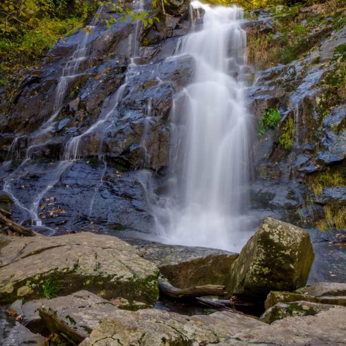 Near Double Falls Loop
