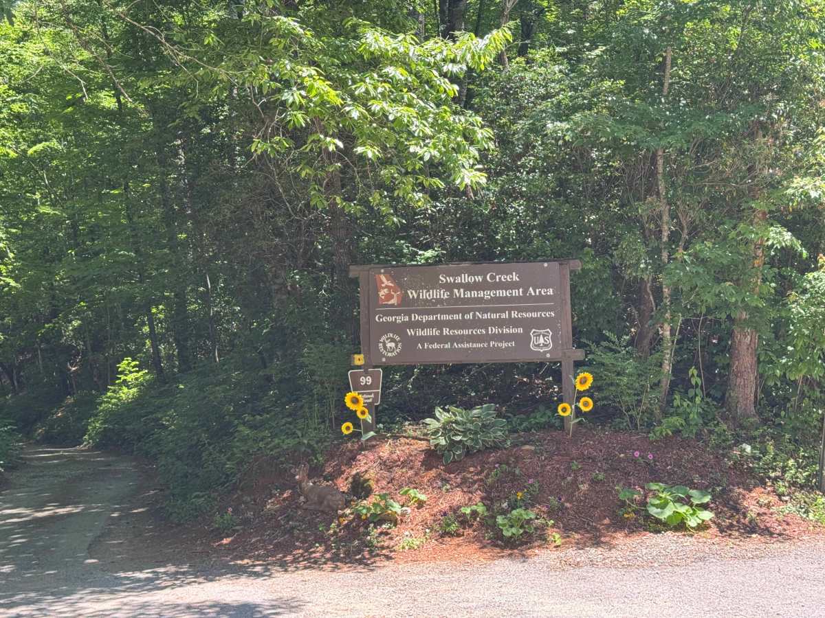 Swallow Creek - FS 99 trail photo