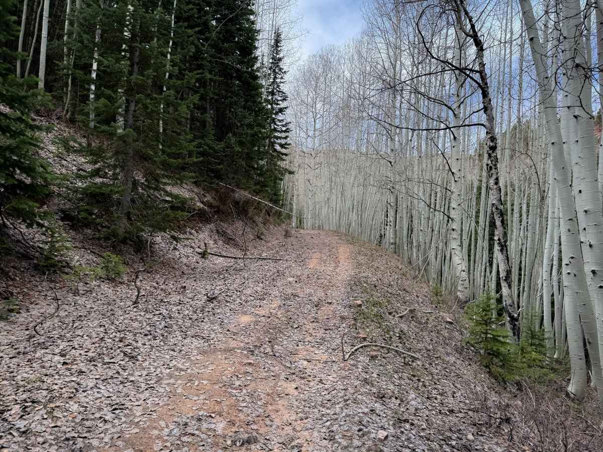 Trail 16   trail photo