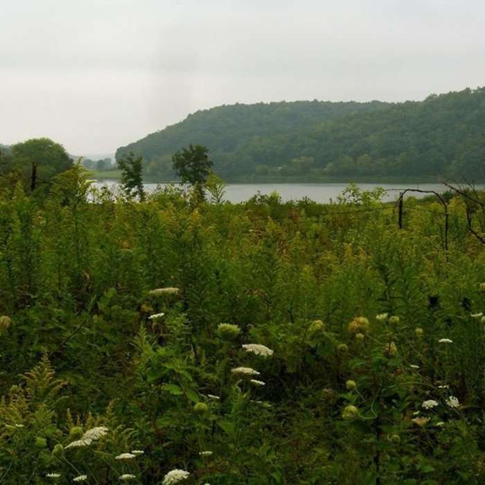 Looking west, northwest from the Ice Age Trail in Indian Lake Park . Near Ice Age Trail: Indian Lake Segment