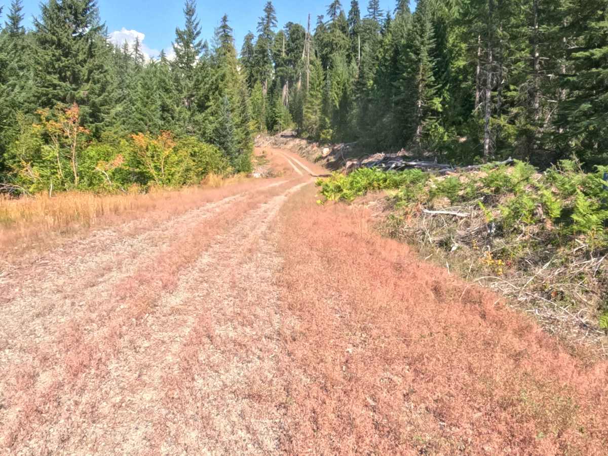 FS 2047774 trail photo