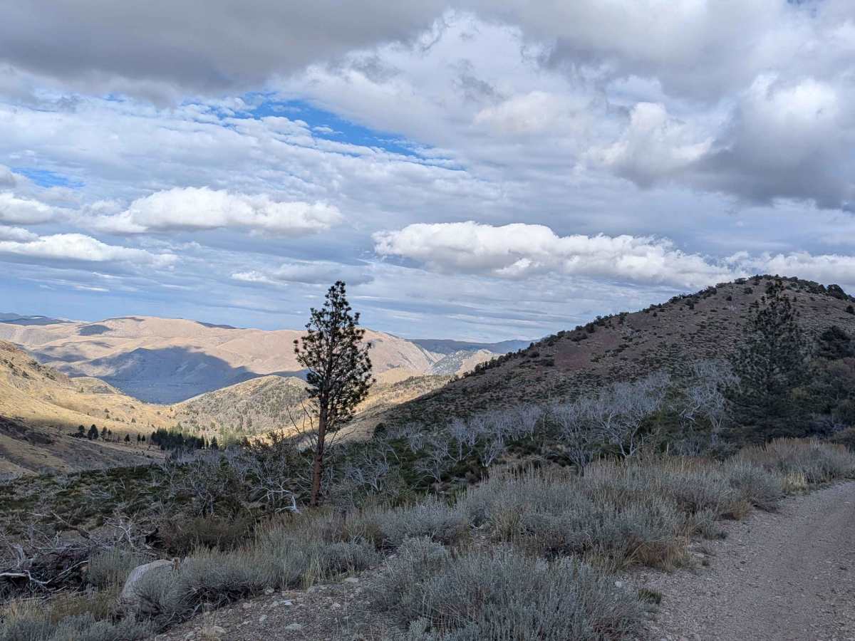 Lost Cannon Creek - FS 32212 photo 6