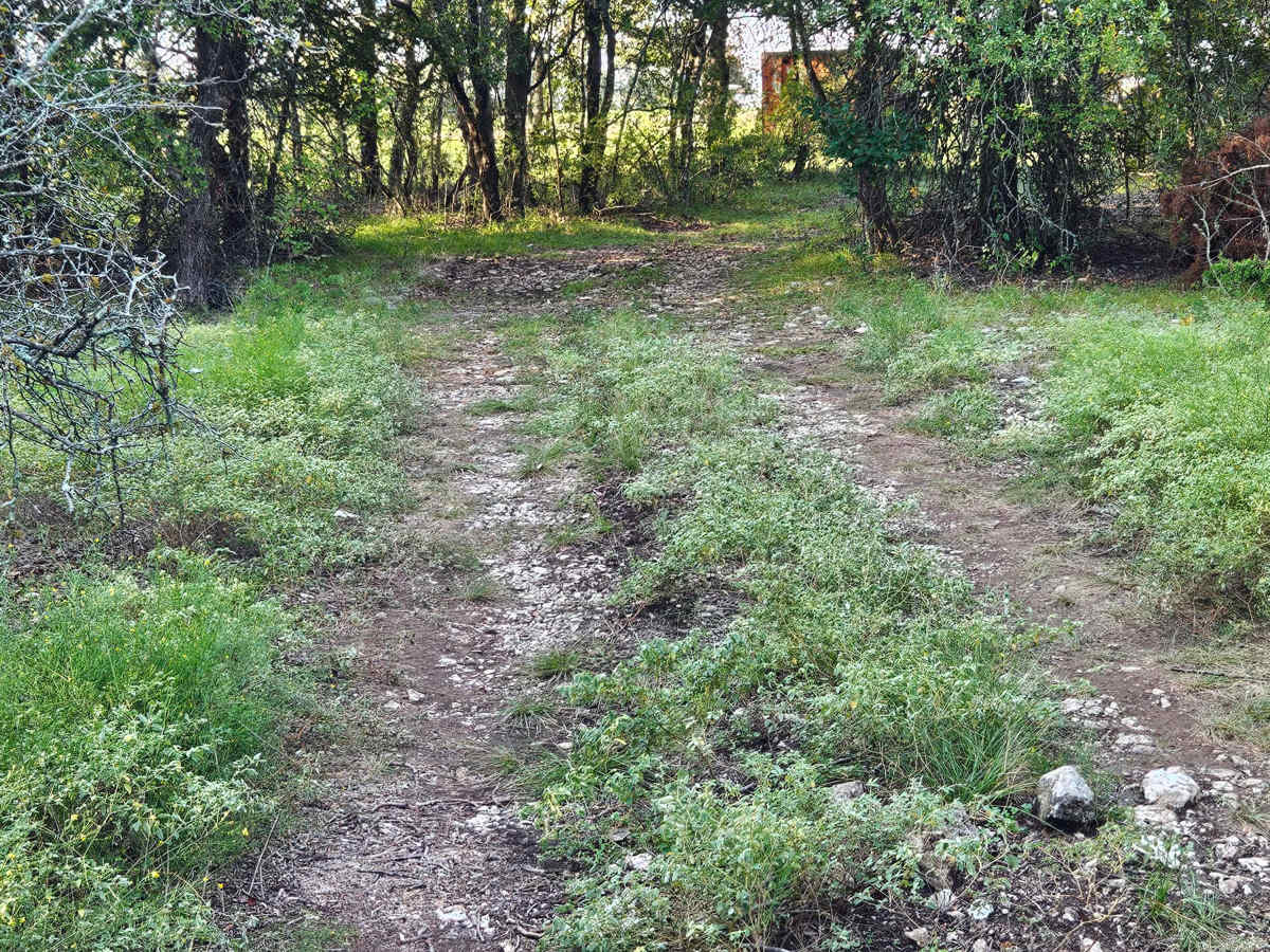 Sleepy Shortcut photo 4