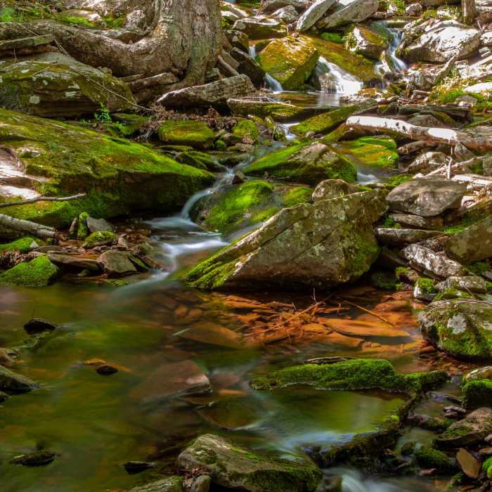 Near North Point Mountain via Escarpment + Marys Glen Trails