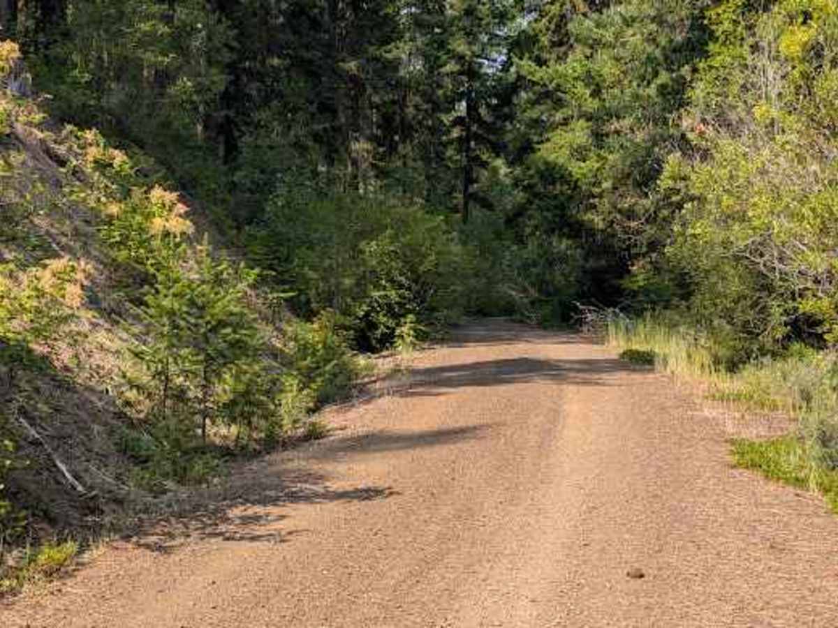 Cougar Spur - FS 9718-118 photo 5
