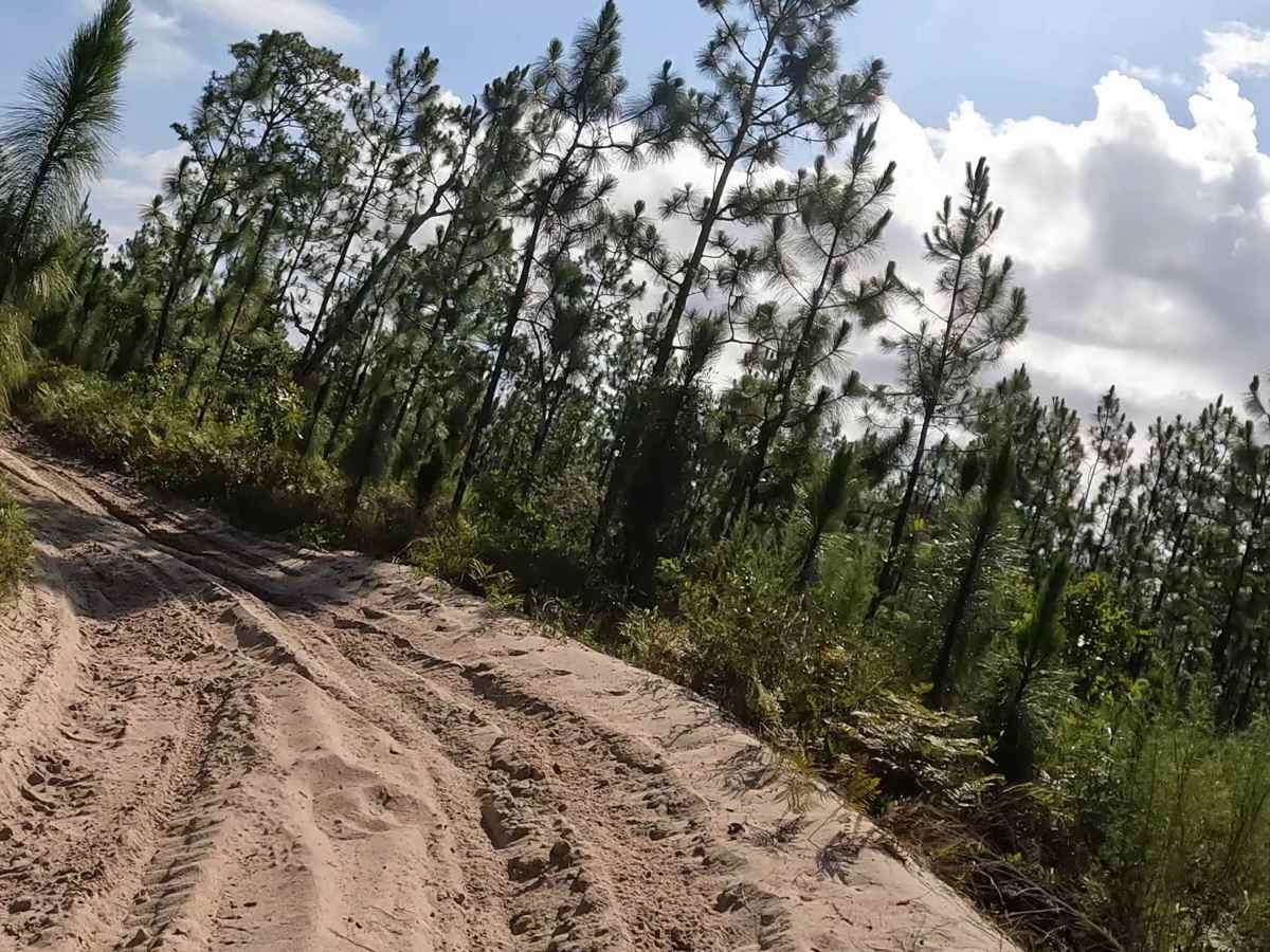 FS 13 trail photo