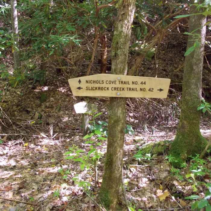 Near Nichols Cove Trail #44