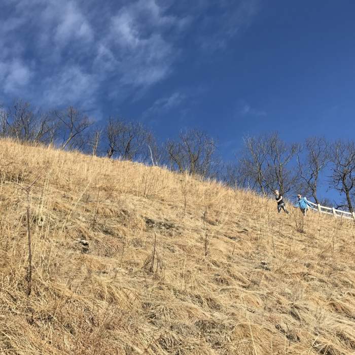 A switchback cuts through a goat prairie on Brady's Bluff Trail. Near Perrot Ridge/Brady's Bluff Figure 8