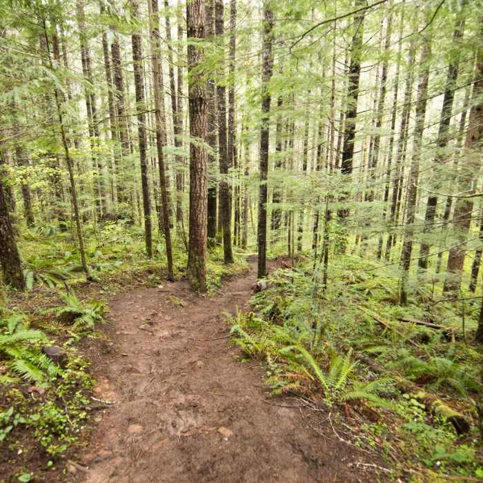 Near Spirit Falls on Alex Creek