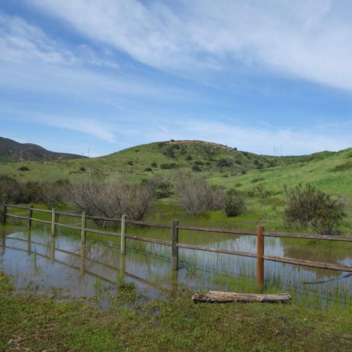 Near North Fortuna Perimeter Trail