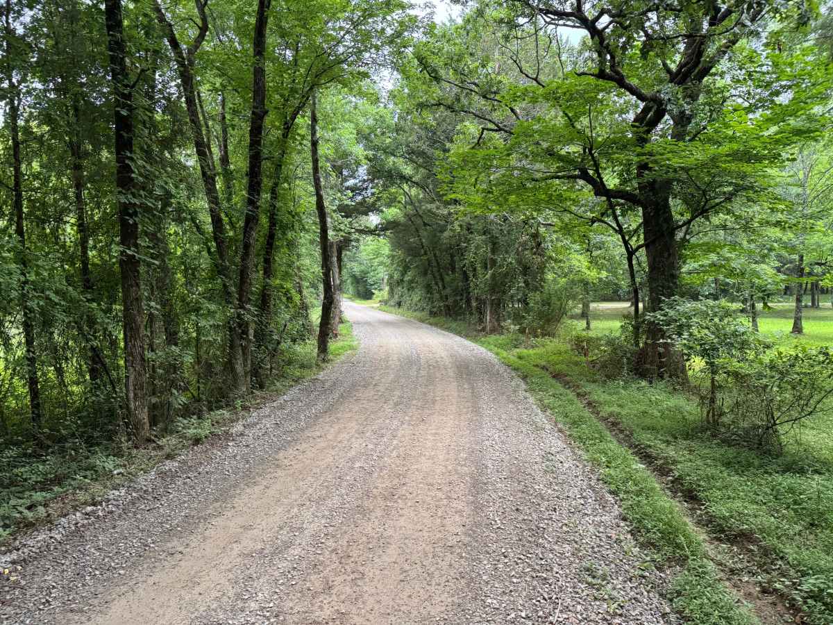 County Road 3355 trail photo