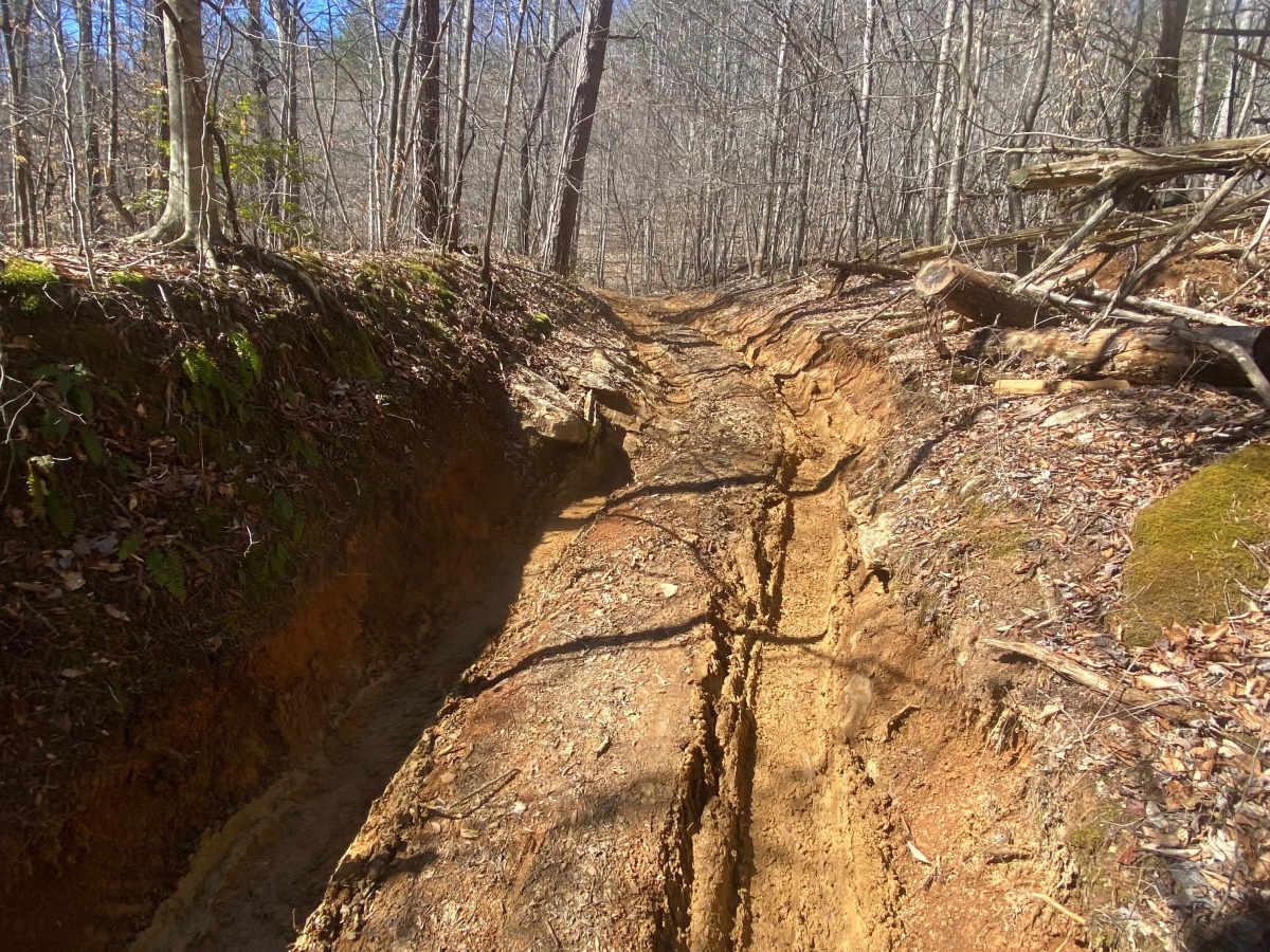 Barnes Buck Road photo 6