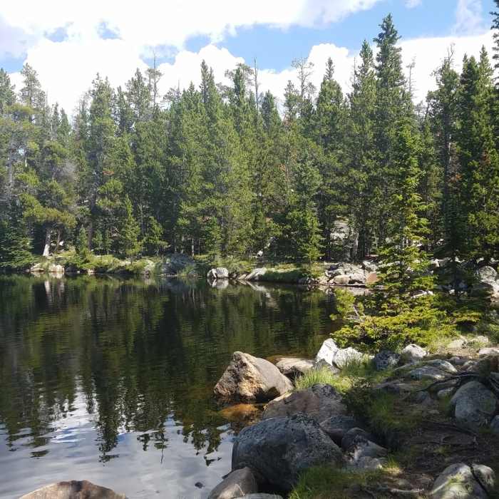 Near South Fork Ponds Trail #095