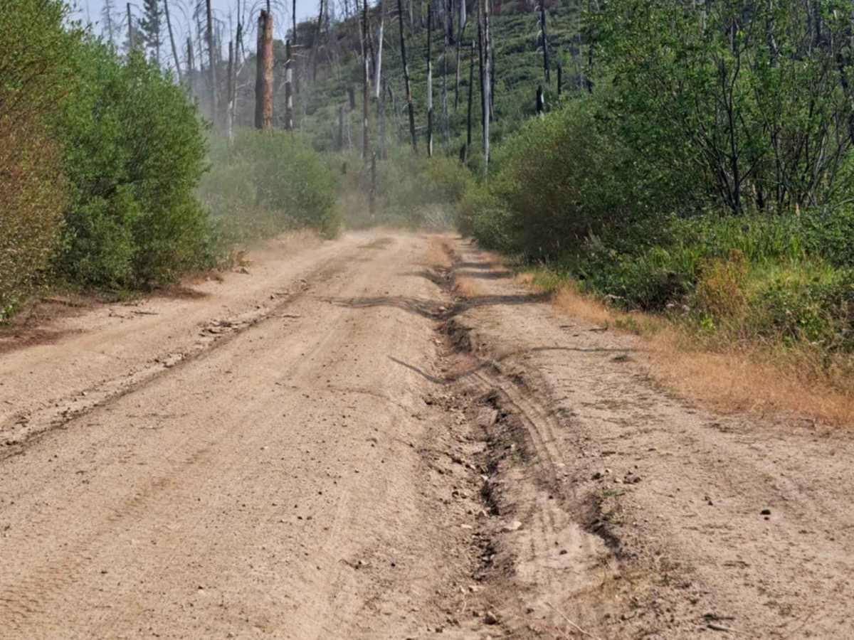 Roaring River Road - FS 255 photo 3