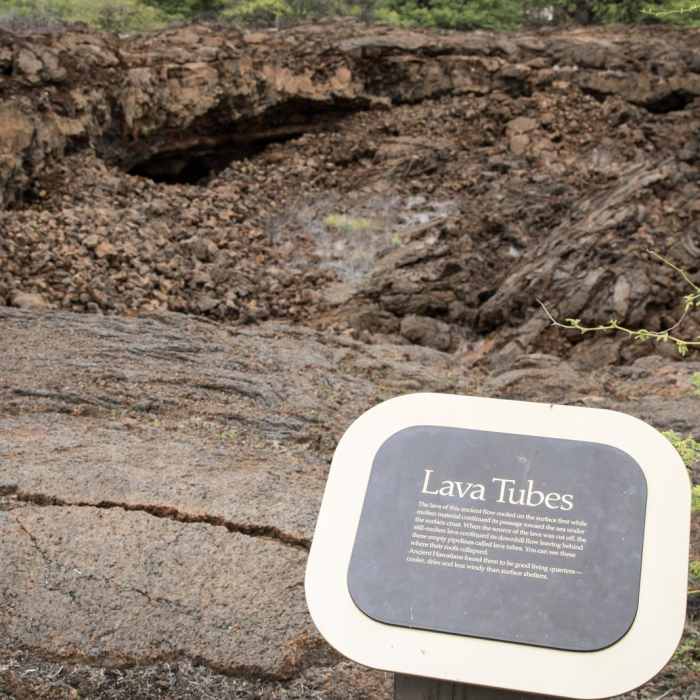 Near Kalahuipua'a Trail + Fishponds