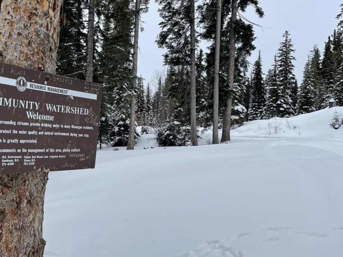 Oyma Lake Road photo 4