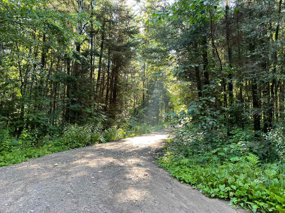 Dead Mans Road - FS 2832 photo 2