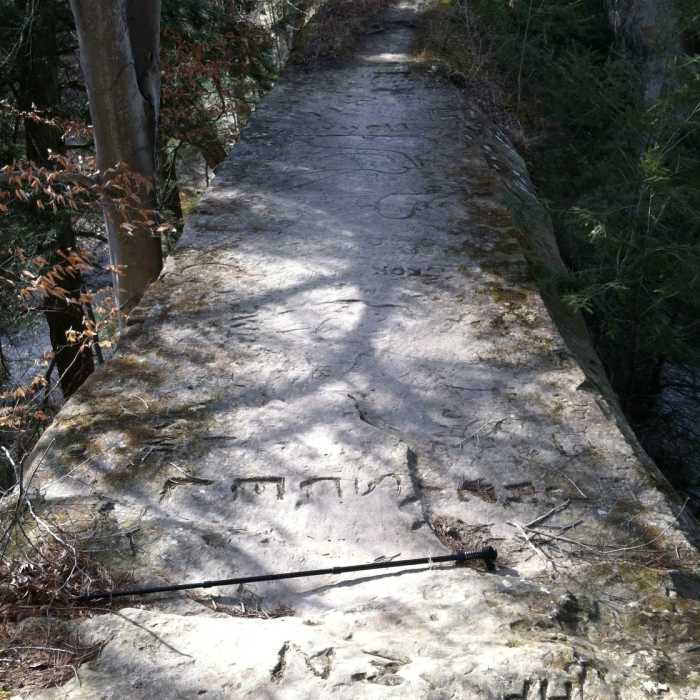 Near Pine Hills Nature Preserve Trail
